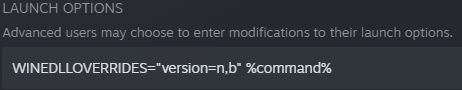 Steam Launch Options